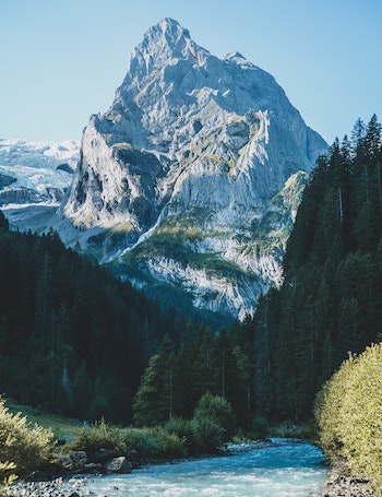 A frozen river below a lush tall forest in front of a very tall snowy mountain