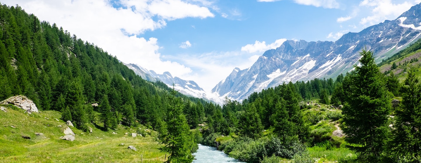 A lush green valley with snowy mountains and blue skies with clouds in the background